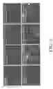 Fig. 06 - Neural progenitor cell differentiation