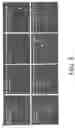 Fig. 09 - Neural progenitor cell differentiation