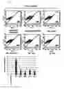 Fig. 07 - METHOD FOR INDUCING OLIGODENDROCYTE PRECURSOR CELLS FROM OCT4-INDUCED HUMAN SOMATIC CELLS THROUGH DIRECT REPROGRAMMING