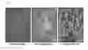 Fig. 09 - METHOD FOR INDUCING OLIGODENDROCYTE PRECURSOR CELLS FROM OCT4-INDUCED HUMAN SOMATIC CELLS THROUGH DIRECT REPROGRAMMING