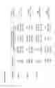 Fig. 18 - Means and methods for generation of breast stem cells