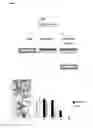 Fig. 27 - Means and methods for generation of breast stem cells