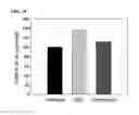 Fig. 09 - METHOD FOR IN VITRO EXPANSION OF ERYTHROID CELLS