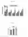 Fig. 03 - METHOD FOR PREPARING NATURAL KILLER CELLS USING IRRADIATED PBMCS, AND ANTI-CANCER CELL THERAPEUTIC AGENT COMPRISING THE NK CELLS