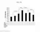 Fig. 04 - METHOD FOR PREPARING NATURAL KILLER CELLS USING IRRADIATED PBMCS, AND ANTI-CANCER CELL THERAPEUTIC AGENT COMPRISING THE NK CELLS