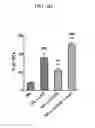 Fig. 08 - METHOD FOR PREPARING NATURAL KILLER CELLS USING IRRADIATED PBMCS, AND ANTI-CANCER CELL THERAPEUTIC AGENT COMPRISING THE NK CELLS