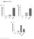 Fig. 05 - Methods and compositions for converting non-endocrine pancreatic tissue into insulin-producing cells