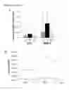 Fig. 07 - Methods and compositions for converting non-endocrine pancreatic tissue into insulin-producing cells