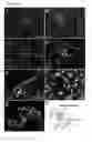 Fig. 10 - Methods and compositions for converting non-endocrine pancreatic tissue into insulin-producing cells