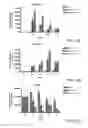 Fig. 04 - Method of Differentiating Stem Cells