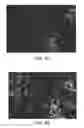 Fig. 05 - Method of Differentiating Stem Cells