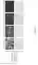 Fig. 10 - Method of preparing recombinant adeno-associated virus and recombinant baculovirus