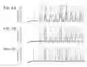 Fig. 03 - Polymerases engineered to reduce nucleotide-independent DNA binding