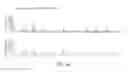 Fig. 05 - Polymerases engineered to reduce nucleotide-independent DNA binding