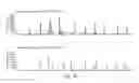 Fig. 07 - Polymerases engineered to reduce nucleotide-independent DNA binding