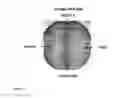 Fig. 03 - Heterologous expression of termite cellulases in yeast