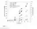 Fig. 06 - Heterologous expression of termite cellulases in yeast