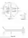 Fig. 22 - Recombinant elastase proteins and methods of manufacturing and use thereof