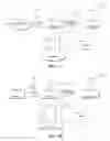 Fig. 02 - One-step surface modification to graft DNA codes on paper and its bio-applications