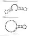 Fig. 255 - CRISPR enzymes and systems