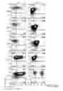 Fig. 07 - Genomic engineering of pluripotent cells