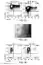 Fig. 09 - Genomic engineering of pluripotent cells
