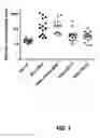 Fig. 02 - MICRORNA COMPOUNDS AND METHODS FOR MODULATING MIR-21 ACTIVITY