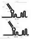 Fig. 12 - Engineered nucleic acid-targeting nucleic acids