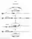 Fig. 06 - Methods and compositions for translational profiling and molecular phenotyping