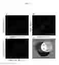 Fig. 43 - Methods and compositions for translational profiling and molecular phenotyping