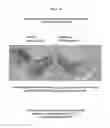 Fig. 45 - Methods and compositions for translational profiling and molecular phenotyping