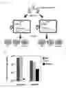 Fig. 06 - Methods and compositions for efficient delivery of nucleic acids and RNA-based antimicrobials