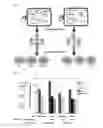 Fig. 07 - Methods and compositions for efficient delivery of nucleic acids and RNA-based antimicrobials