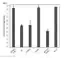 Fig. 08 - Methods and compositions for efficient delivery of nucleic acids and RNA-based antimicrobials