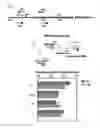 Fig. 19 - Methods and compositions for efficient delivery of nucleic acids and RNA-based antimicrobials