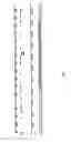 Fig. 02 - spliced leader sequences and methods of use thereof