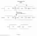 Fig. 09 - Constructs and methods for genome editing and genetic engineering of fungi and protists
