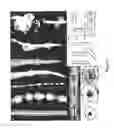 Fig. 04 - METHOD FOR MODULATING PLANT ROOT ARCHITECTURE