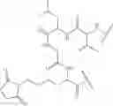 Fig. 65 - Fluorescent substrates for determining lysine modifying enzyme activity