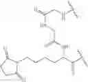 Fig. 69 - Fluorescent substrates for determining lysine modifying enzyme activity