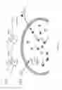 Fig. 02 - Cell-permeable probes for identification and imaging of sialidases