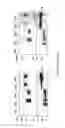 Fig. 04 - Cell-permeable probes for identification and imaging of sialidases