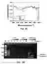 Fig. 06 - Composition for PCR containing a polyethylene glycol-engrafted nano-sized graphene oxide