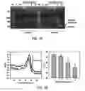 Fig. 12 - Composition for PCR containing a polyethylene glycol-engrafted nano-sized graphene oxide
