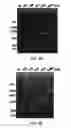 Fig. 14 - Composition for PCR containing a polyethylene glycol-engrafted nano-sized graphene oxide