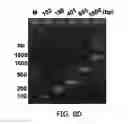 Fig. 15 - Composition for PCR containing a polyethylene glycol-engrafted nano-sized graphene oxide