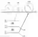 Fig. 01 - Gene detection device including gold nanoparticles and gene detection method using gold nanoparticles