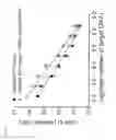 Fig. 07 - CHROMOSOMAL ASSESSMENT BY RAPID LAMP ANALYSIS