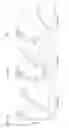Fig. 09 - CHROMOSOMAL ASSESSMENT BY RAPID LAMP ANALYSIS