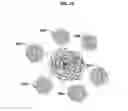 Fig. 06 - Systems and methods for biological analysis